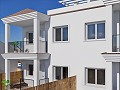 Fabulous New Build Apartment in Alicante Dream Homes Hondon