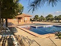 Large New Build Villa with swimming pool in Alicante Dream Homes Hondon