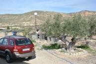 Große Neubauvilla mit Swimmingpool in Alicante Dream Homes Hondon