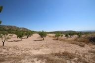 Landhuis met 100.000M2 olijven en amandelen in Alicante Dream Homes Hondon