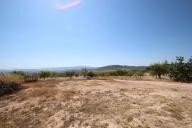 Country house with 100.000M2 olives and Almonds in Alicante Dream Homes Hondon