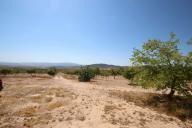 Maison de campagne avec 100.000M2 d'olives et d'amandes in Alicante Dream Homes Hondon