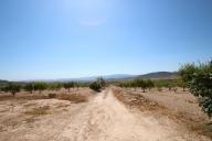 Maison de campagne avec 100.000M2 d'olives et d'amandes in Alicante Dream Homes Hondon