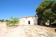 Maison de campagne avec 100.000M2 d'olives et d'amandes in Alicante Dream Homes Hondon