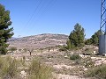 Building land in Pinoso in Alicante Dream Homes Hondon