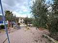 Incroyable maison de campagne entièrement réformée à Salinas (près de Sax) in Alicante Dream Homes Hondon