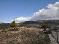 Maravillosa villa con piscina en Yecla in Alicante Dream Homes Hondon