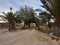 Fantastique maison de campagne à réformer près de pinoso in Alicante Dream Homes Hondon