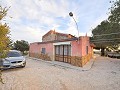 Fantastic country house to reform near pinoso  in Alicante Dream Homes Hondon