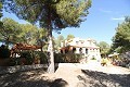 Villa Bodega - Groot huis van hoge kwaliteit gebouwd in Alicante Dream Homes Hondon