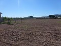 Aspe, plot for sale! - Building Plots for sale in Aspe, Alicante | Alicante, Aspe in Alicante Dream Homes Hondon