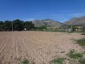 Aspe, plot for sale! - Building Plots for sale in Aspe, Alicante | Alicante, Aspe in Alicante Dream Homes Hondon