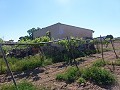 Aspe, plot for sale! - Building Plots for sale in Aspe, Alicante | Alicante, Aspe in Alicante Dream Homes Hondon