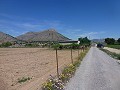 Aspe, plot for sale! - Building Plots for sale in Aspe, Alicante | Alicante, Aspe in Alicante Dream Homes Hondon