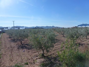 Terrain Urbain à vendre - Terrains à bâtir à vendre à Macisvenda, Murcie | Alicante, Macisvenda