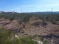 Terrain Urbain à vendre - Terrains à bâtir à vendre à Macisvenda, Murcie | Alicante, Macisvenda in Alicante Dream Homes Hondon