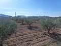 Städtisches Grundstück zum Verkauf - Baugrundstücke zum Verkauf in Macisvenda, Murcia | Alicante, Macisvenda in Alicante Dream Homes Hondon