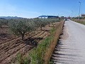 Urban Land for sale - Building Plots for sale in Macisvenda, Murcia | Alicante, Macisvenda in Alicante Dream Homes Hondon