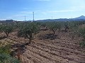 Terrain Urbain à vendre - Terrains à bâtir à vendre à Macisvenda, Murcie | Alicante, Macisvenda in Alicante Dream Homes Hondon