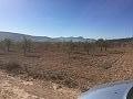 Plots of Land for Sale in Salinas, Alicante in Alicante Dream Homes Hondon