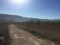 Plots of Land for Sale in Salinas, Alicante in Alicante Dream Homes Hondon