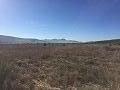 Plots of Land for Sale in Salinas, Alicante in Alicante Dream Homes Hondon