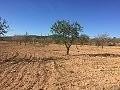 Plots of Land for Sale in Salinas, Alicante in Alicante Dream Homes Hondon