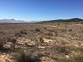 Plots of Land for Sale in Salinas, Alicante in Alicante Dream Homes Hondon