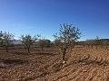 Plots of Land for Sale in Salinas, Alicante in Alicante Dream Homes Hondon