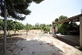 Detached Country House with a pool close to town in Alicante Dream Homes Hondon