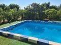 Detached Country House with a pool close to town in Alicante Dream Homes Hondon