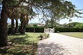 Villa individuelle avec piscine à Loma Bada in Alicante Dream Homes Hondon