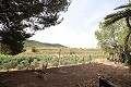 Maison de campagne avec piscine dans un bel endroit in Alicante Dream Homes Hondon