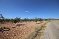 Baugrundstück mit Mandelbäumen in Alicante Dream Homes Hondon