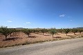 Building plot of land with almond trees in Alicante Dream Homes Hondon