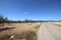 Terreno edificable con almendros in Alicante Dream Homes Hondon