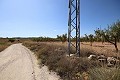 Building plot of land with almond trees in Alicante Dream Homes Hondon