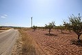 Building plot of land with almond trees in Alicante Dream Homes Hondon