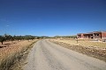 Building plot of land with almond trees in Alicante Dream Homes Hondon