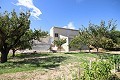 Freistehendes Landhaus in der Nähe von Monovar mit toller Aussicht in Alicante Dream Homes Hondon