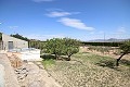 Freistehendes Landhaus in der Nähe von Monovar mit toller Aussicht in Alicante Dream Homes Hondon