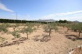 Vrijstaand landhuis dichtbij Monovar met geweldig uitzicht in Alicante Dream Homes Hondon