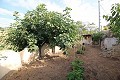 Höhlenhaus mit 4 Schlafzimmern in Casas del Senor in Alicante Dream Homes Hondon