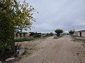 Cave house restoration project close to Jumilla in Alicante Dream Homes Hondon