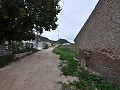 Projet de restauration d'une maison troglodyte près de Jumilla in Alicante Dream Homes Hondon