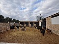 Large Stable complex - suitable to go with 13415 in Alicante Dream Homes Hondon