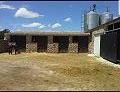 Large Stable complex - suitable to go with 13415 in Alicante Dream Homes Hondon