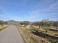 15 000 m2 de terrain constructible à Salinas avec eau - fermeture électrique in Alicante Dream Homes Hondon