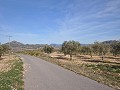 15.000m2 Bauland in Salinas mit Wasser - Stromanschluss in Alicante Dream Homes Hondon