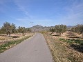 15,000m2 of building land in Salinas with water - electric close in Alicante Dream Homes Hondon